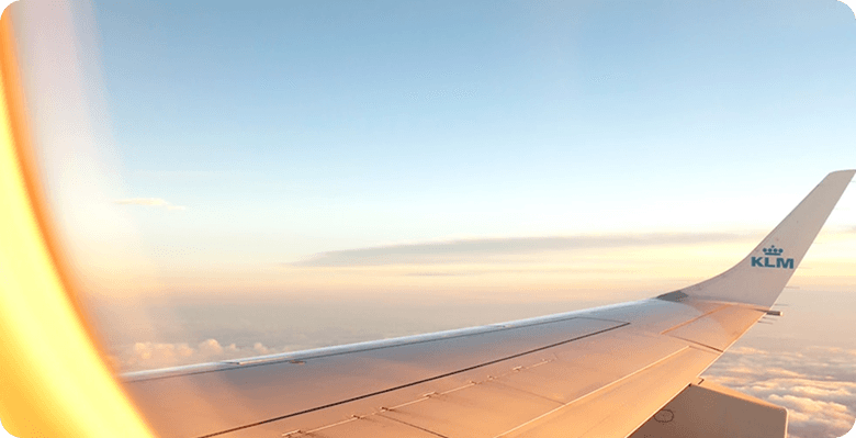Get instant access to our arrival toolkit — airport
 guides, first-week checklists, and emergency
 contacts.